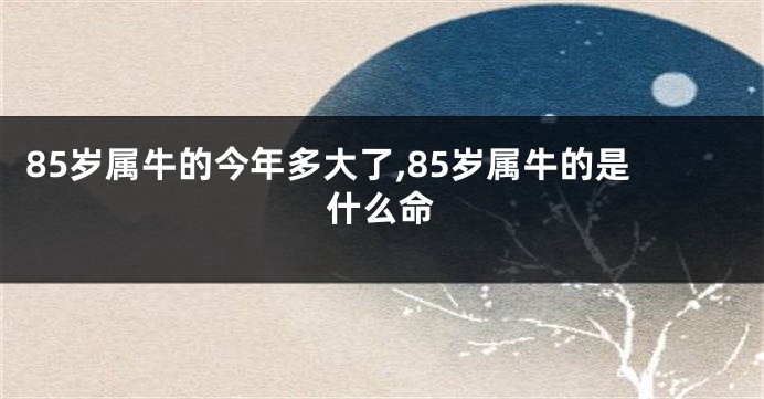 85岁属牛的今年多大了,85岁属牛的是什么命