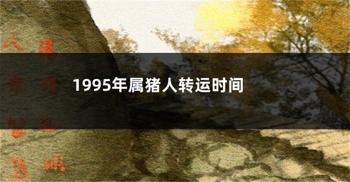 1995年属猪人转运时间