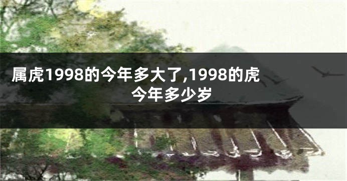 属虎1998的今年多大了,1998的虎今年多少岁