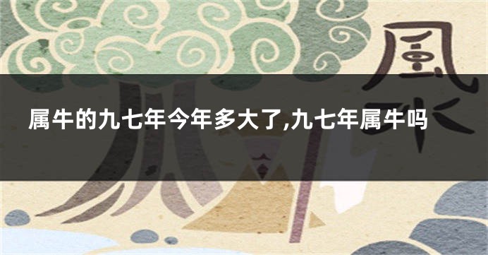 属牛的九七年今年多大了,九七年属牛吗