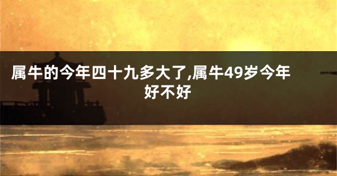 属牛的今年四十九多大了,属牛49岁今年好不好