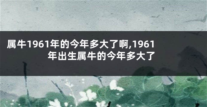 属牛1961年的今年多大了啊,1961年出生属牛的今年多大了