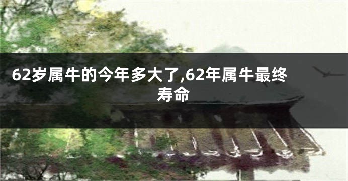 62岁属牛的今年多大了,62年属牛最终寿命