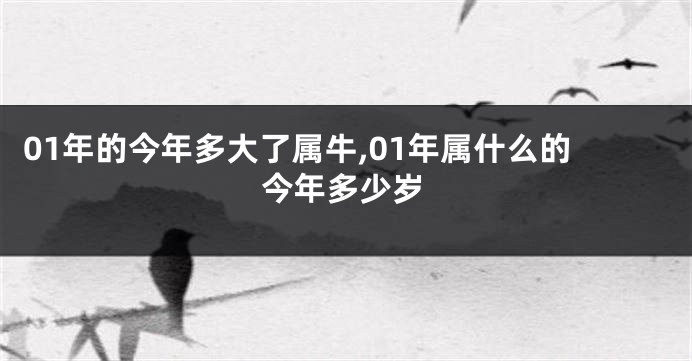 01年的今年多大了属牛,01年属什么的今年多少岁