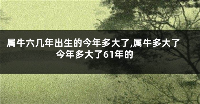 属牛六几年出生的今年多大了,属牛多大了今年多大了61年的