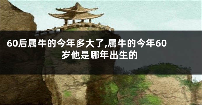 60后属牛的今年多大了,属牛的今年60岁他是哪年出生的