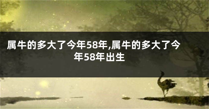 属牛的多大了今年58年,属牛的多大了今年58年出生