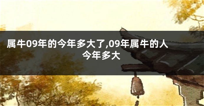 属牛09年的今年多大了,09年属牛的人今年多大