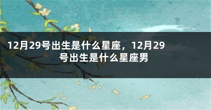 12月29号出生是什么星座，12月29号出生是什么星座男