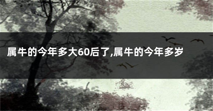 属牛的今年多大60后了,属牛的今年多岁