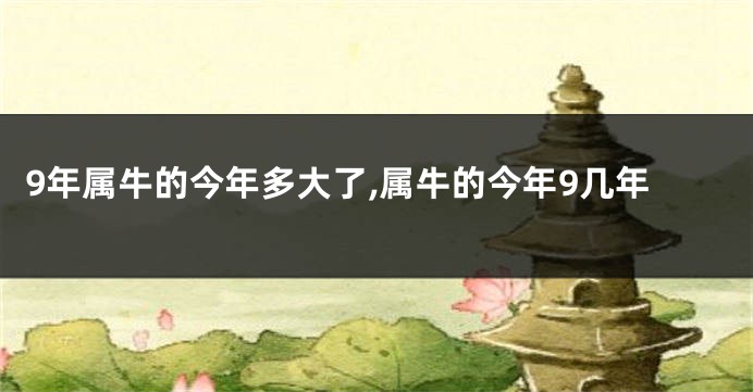 9年属牛的今年多大了,属牛的今年9几年