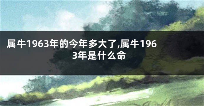 属牛1963年的今年多大了,属牛1963年是什么命