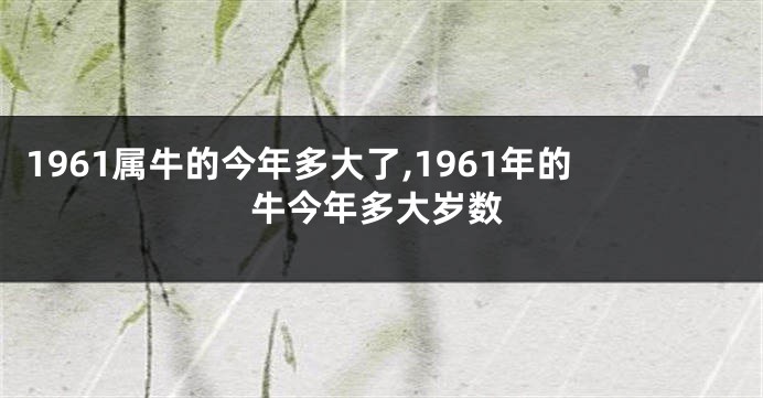 1961属牛的今年多大了,1961年的牛今年多大岁数