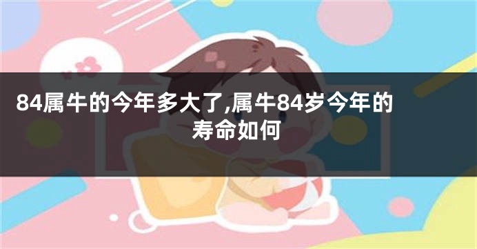 84属牛的今年多大了,属牛84岁今年的寿命如何