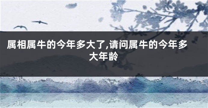 属相属牛的今年多大了,请问属牛的今年多大年龄