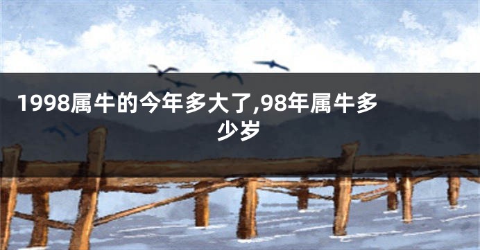 1998属牛的今年多大了,98年属牛多少岁