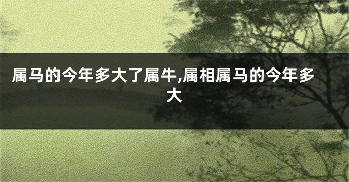 属马的今年多大了属牛,属相属马的今年多大