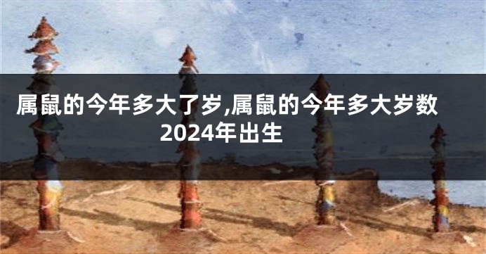 属鼠的今年多大了岁,属鼠的今年多大岁数2024年出生