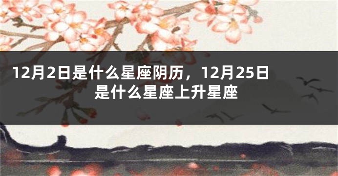 12月2日是什么星座阴历，12月25日是什么星座上升星座