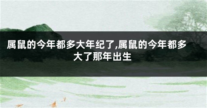 属鼠的今年都多大年纪了,属鼠的今年都多大了那年出生