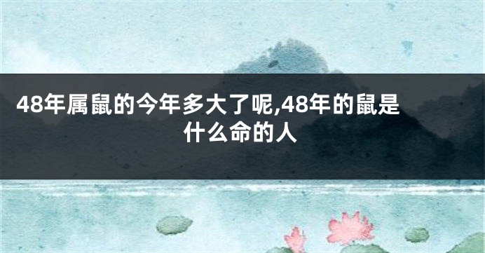 48年属鼠的今年多大了呢,48年的鼠是什么命的人