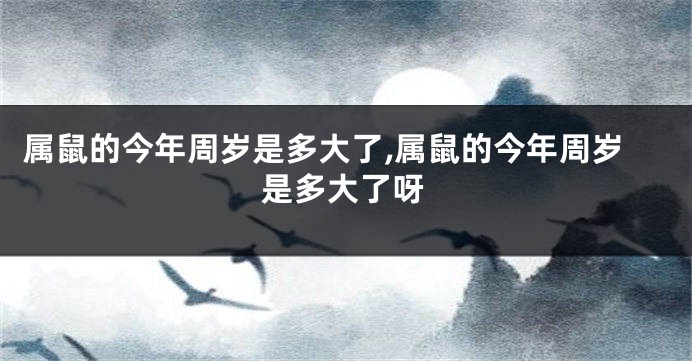 属鼠的今年周岁是多大了,属鼠的今年周岁是多大了呀