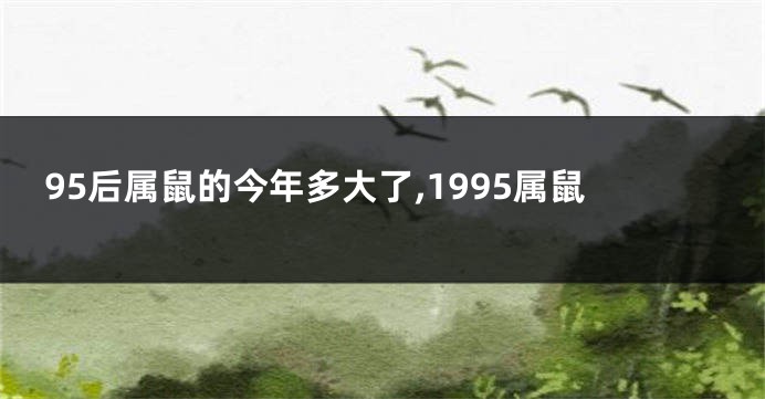 95后属鼠的今年多大了,1995属鼠