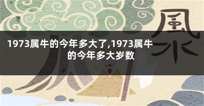 1973属牛的今年多大了,1973属牛的今年多大岁数