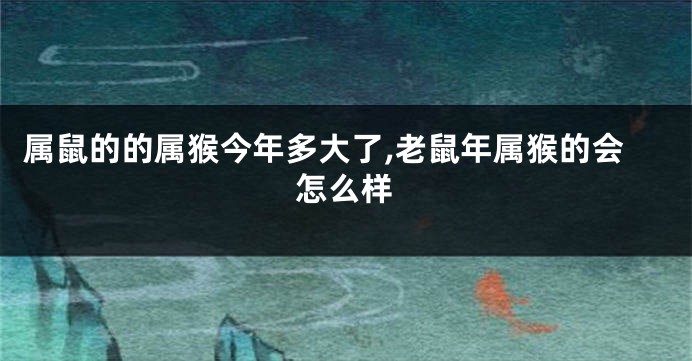 属鼠的的属猴今年多大了,老鼠年属猴的会怎么样