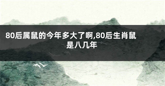 80后属鼠的今年多大了啊,80后生肖鼠是八几年