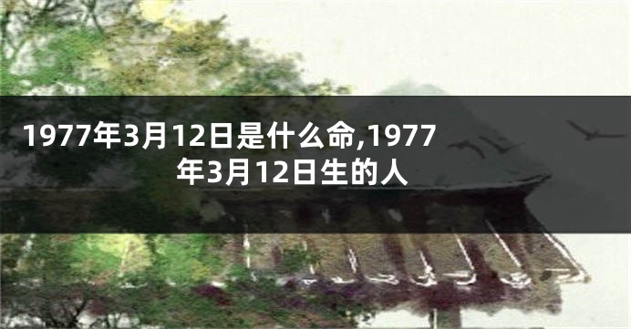 1977年3月12日是什么命,1977年3月12日生的人