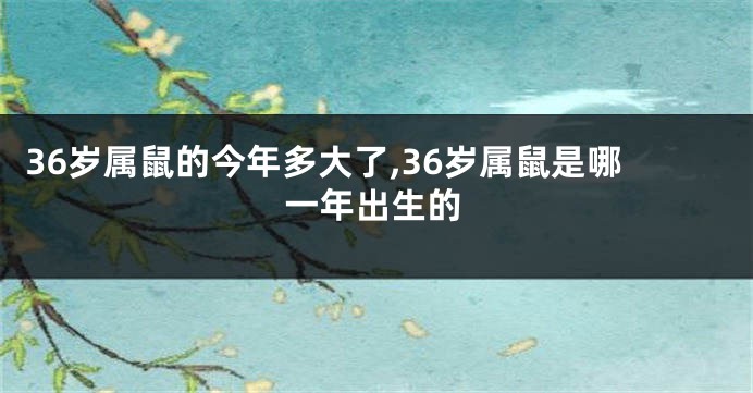 36岁属鼠的今年多大了,36岁属鼠是哪一年出生的