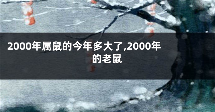 2000年属鼠的今年多大了,2000年的老鼠