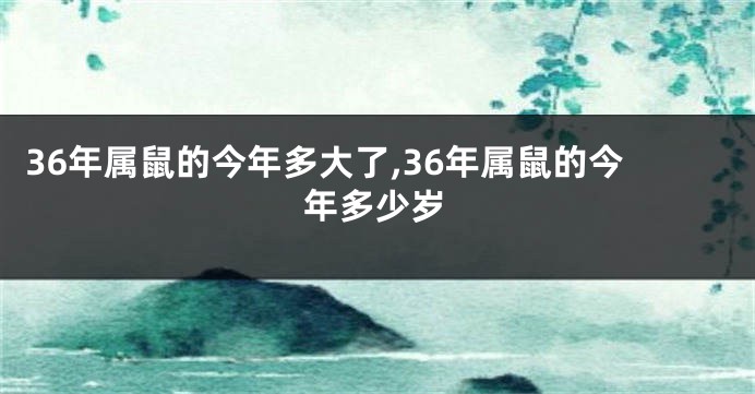 36年属鼠的今年多大了,36年属鼠的今年多少岁