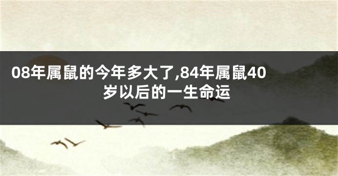 08年属鼠的今年多大了,84年属鼠40岁以后的一生命运