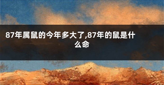 87年属鼠的今年多大了,87年的鼠是什么命