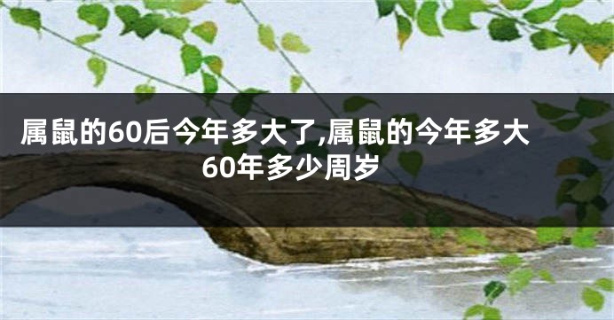 属鼠的60后今年多大了,属鼠的今年多大60年多少周岁