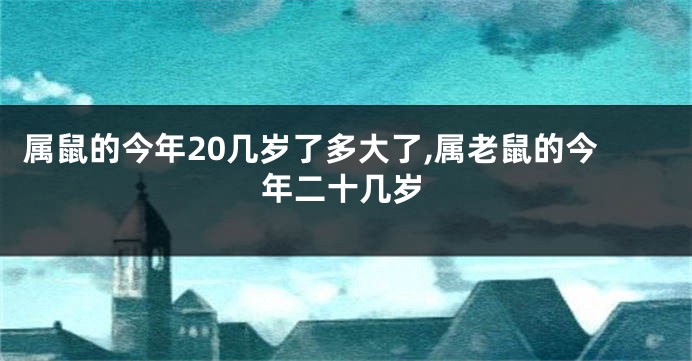 属鼠的今年20几岁了多大了,属老鼠的今年二十几岁