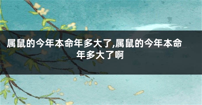 属鼠的今年本命年多大了,属鼠的今年本命年多大了啊