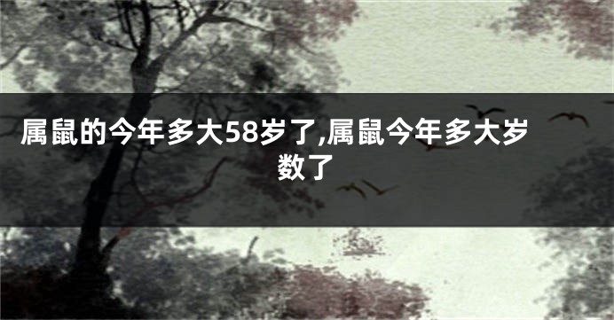 属鼠的今年多大58岁了,属鼠今年多大岁数了