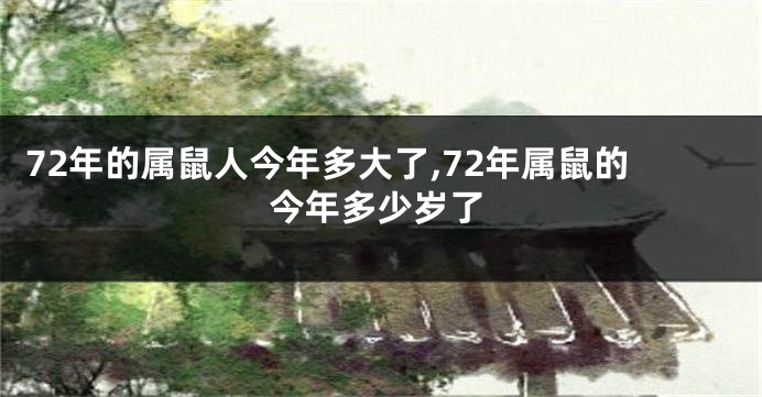 72年的属鼠人今年多大了,72年属鼠的今年多少岁了