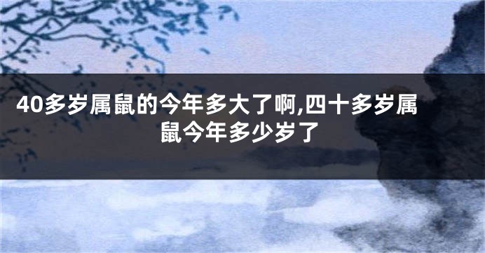 40多岁属鼠的今年多大了啊,四十多岁属鼠今年多少岁了