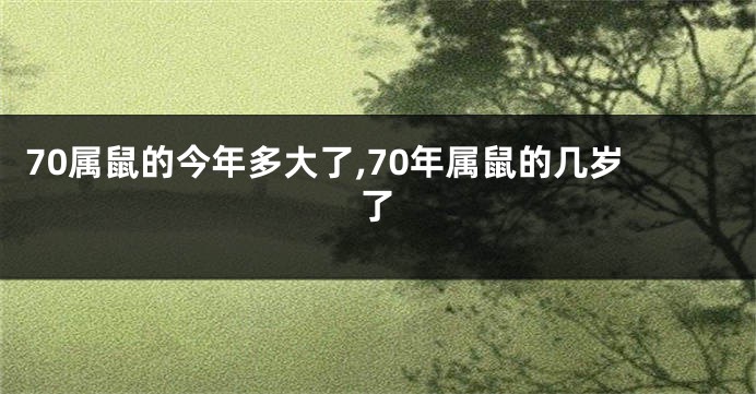 70属鼠的今年多大了,70年属鼠的几岁了