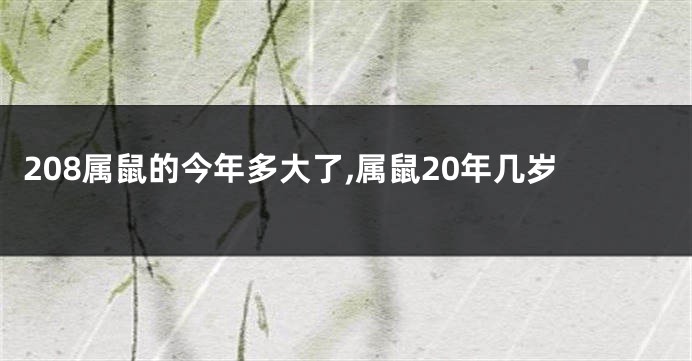 208属鼠的今年多大了,属鼠20年几岁