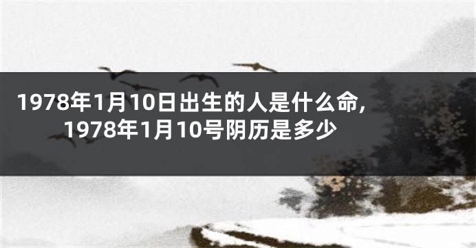 1978年1月10日出生的人是什么命,1978年1月10号阴历是多少