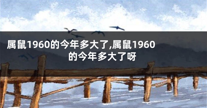 属鼠1960的今年多大了,属鼠1960的今年多大了呀