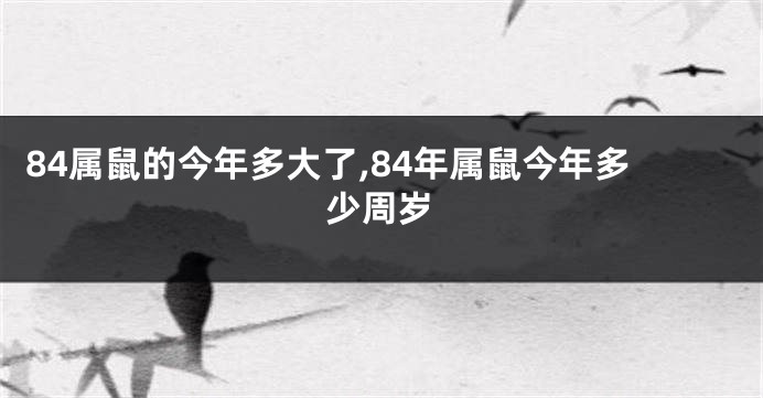 84属鼠的今年多大了,84年属鼠今年多少周岁