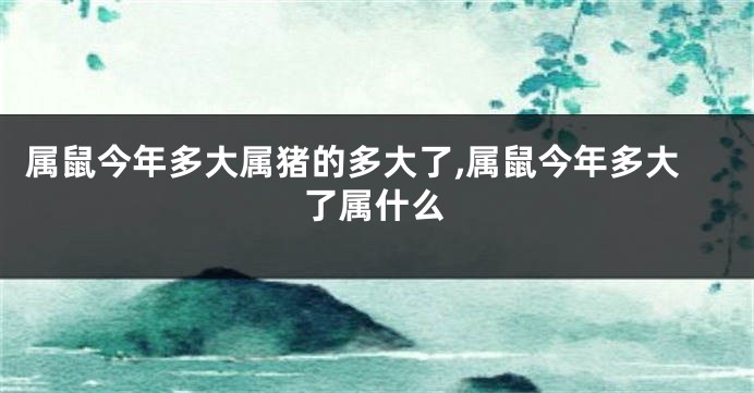 属鼠今年多大属猪的多大了,属鼠今年多大了属什么