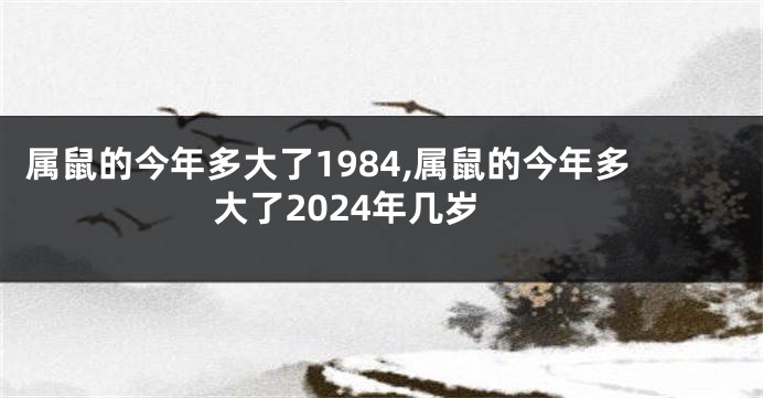 属鼠的今年多大了1984,属鼠的今年多大了2024年几岁