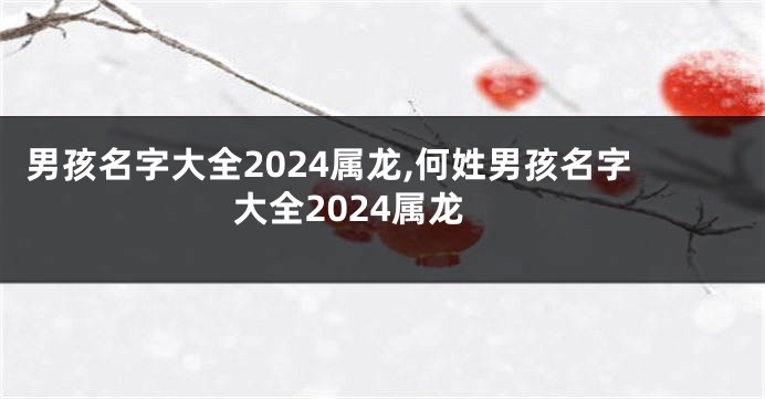 男孩名字大全2024属龙,何姓男孩名字大全2024属龙